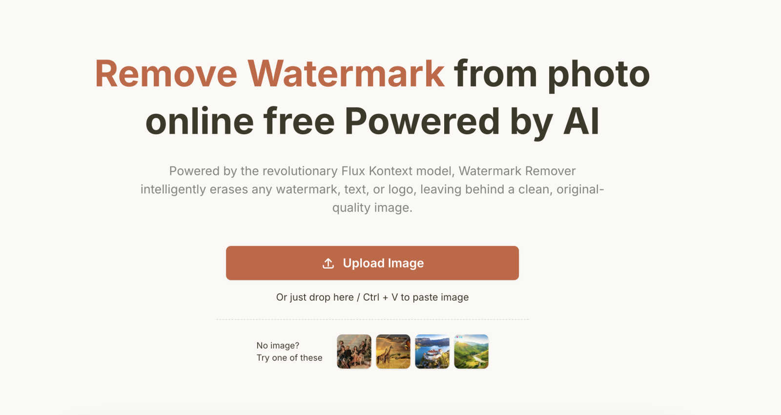 Remove Watermark from Photo application interface and features