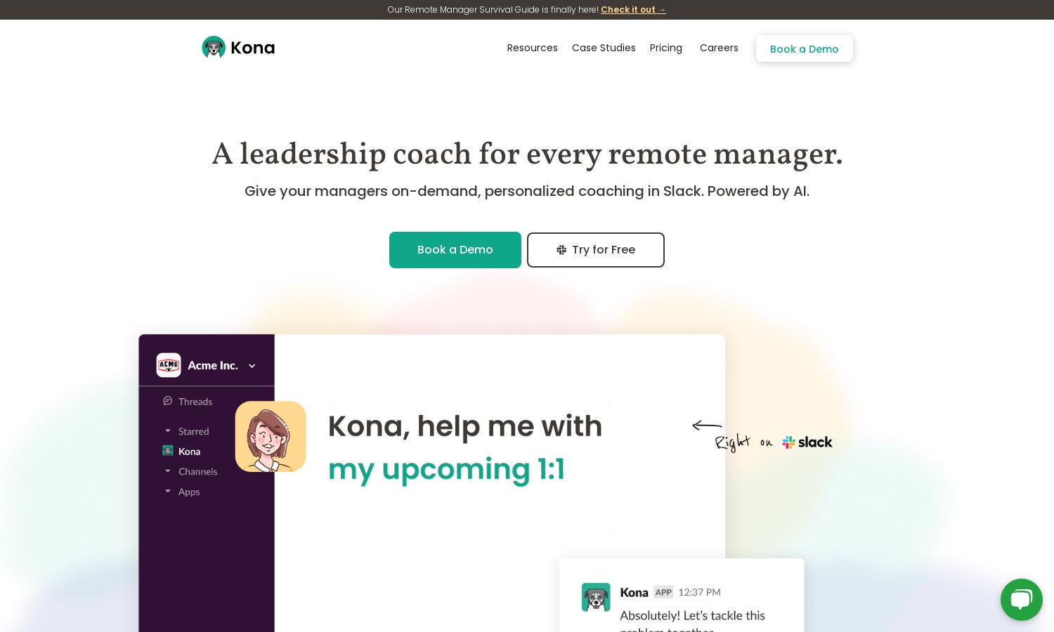 Kona Website